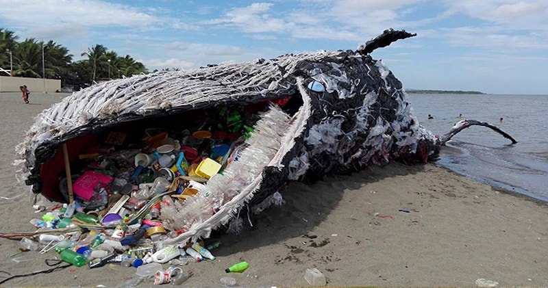 Whale on Shore from Ocean Plastic Pollution